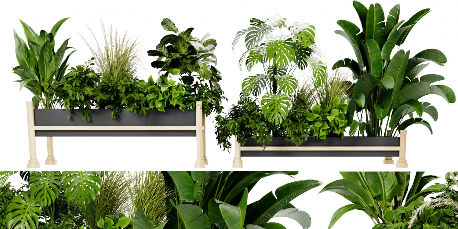 Collection Plant Vol 420 - Blender Model 3D Model .c4d .max .obj .3ds .fbx .stl .blend 