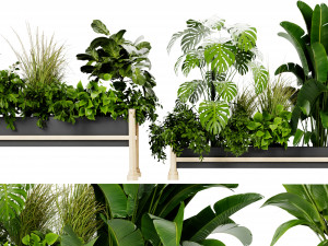 Collection Plant Vol 420 - Blender Model 3D-Modell