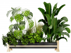 Collection Plant Vol 420 - Blender Model Modelo 3D
