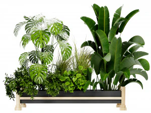 Collection Plant Vol 420 - Blender Model 3D Model