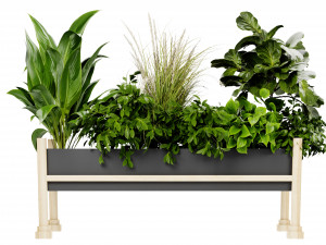 Collection Plant Vol 420 - Blender Model Modelo 3D