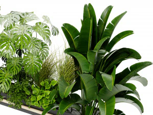 Collection Plant Vol 420 - Blender Model 3D Model