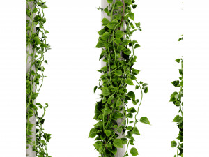 Collection Plant Vol 421 - Blender Model 3D Model