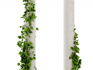 Collection Plant Vol 421 - Blender Model 3D Model