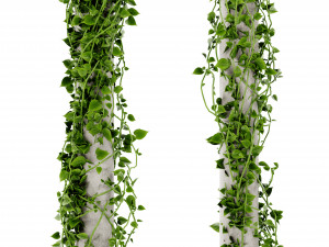 Collection Plant Vol 421 - Blender Model 3D Model