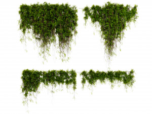 Collection Plant Vol 425 - Blender Model Modelo 3D