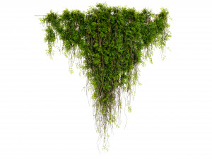 Collection Plant Vol 425 - Blender Model Modelo 3D