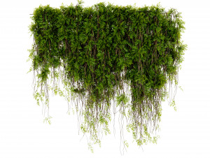 Collection Plant Vol 425 - Blender Model Modelo 3D