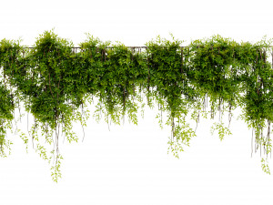 Collection Plant Vol 425 - Blender Model Modelo 3D