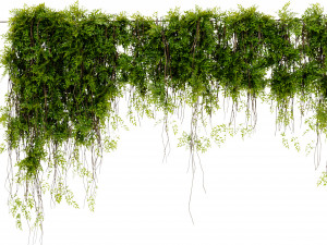 Collection Plant Vol 425 - Blender Model Modelo 3D