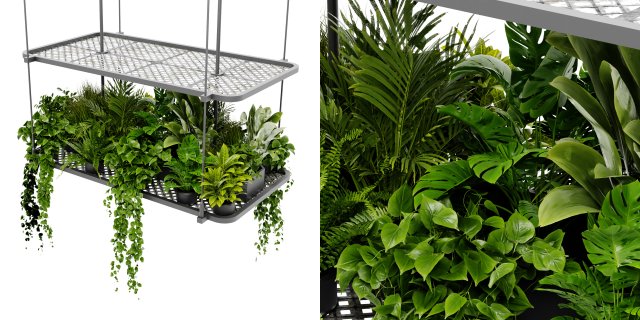 Collection Plant Vol 426 - Blender Model Modèle 3D .c4d .max .obj .3ds .fbx .stl .blend 