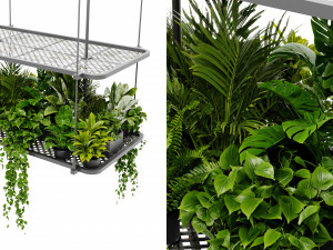 Collection Plant Vol 426 - Blender Model 3Dモデル