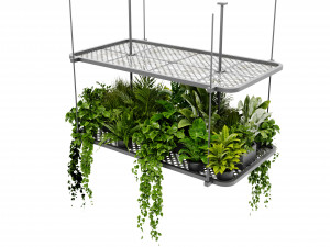 Collection Plant Vol 426 - Blender Model Modèle 3D