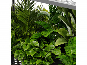 Collection Plant Vol 426 - Blender Model Modèle 3D