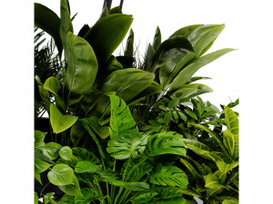 Collection Plant Vol 426 - Blender Model Modèle 3D