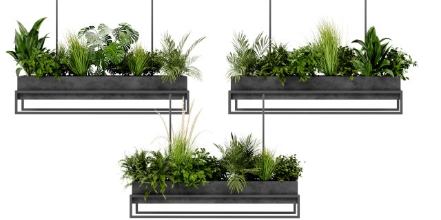 Collection Plant Vol 427 - Blender Model 3D Modell .c4d .max .obj .3ds .fbx .stl .blend
