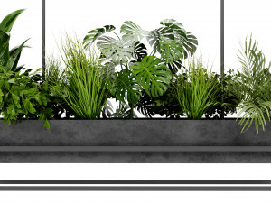 Collection Plant Vol 427 - Blender Model 3D Modell