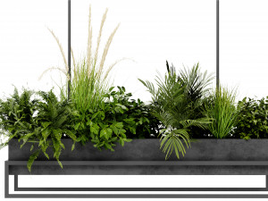 Collection Plant Vol 427 - Blender Model 3D Modell