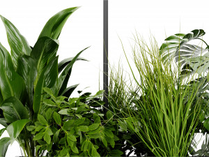 Collection Plant Vol 427 - Blender Model 3D Modell