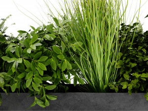 Collection Plant Vol 427 - Blender Model 3D Modell