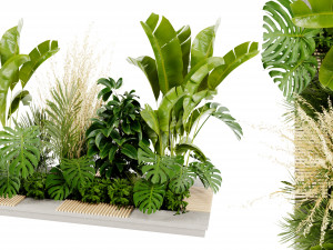 Collection Plant Vol 428 - Blender Model Modelo 3D
