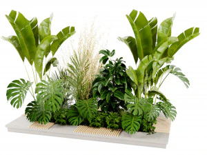 Collection Plant Vol 428 - Blender Model 3D Model