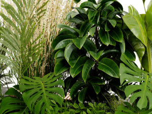 Collection Plant Vol 428 - Blender Model 3D 모델