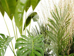 Collection Plant Vol 428 - Blender Model 3D 모델