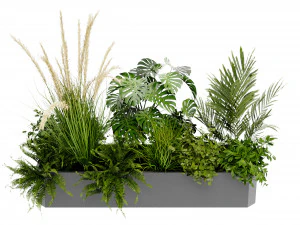 Collection Plant Vol 430 - Blender Model 3D Model