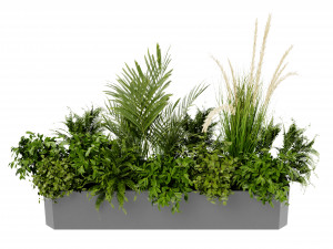 Collection Plant Vol 430 - Blender Model 3D 模型