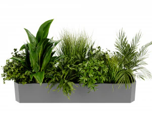 Collection Plant Vol 430 - Blender Model 3D Model