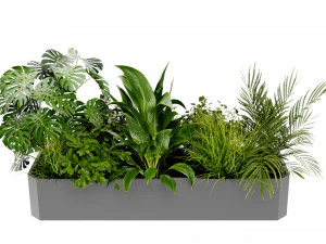 Collection Plant Vol 430 - Blender Model 3D Model