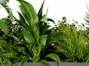 Collection Plant Vol 430 - Blender Model 3D Model