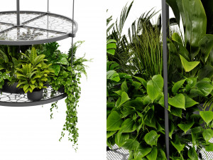 Collection Plant Vol 432 - Blender Model Modèle 3D