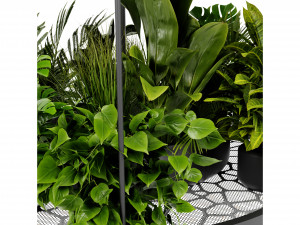 Collection Plant Vol 432 - Blender Model 3D Model