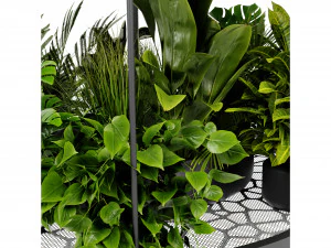 Collection Plant Vol 432 - Blender Model 3D Model