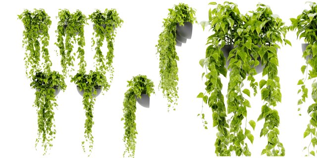Collection Plant Vol 433 - Blender Model 3D Model .c4d .max .obj .3ds .fbx .stl .blend 
