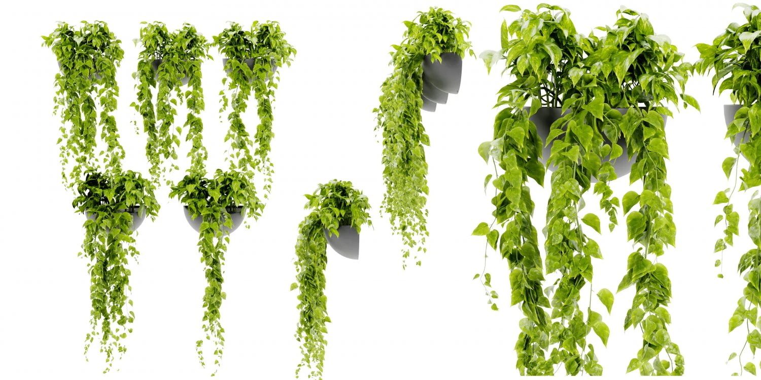 Collection Plant Vol 433 - Blender Model 3D Model .c4d .max .obj .3ds .fbx .stl .blend