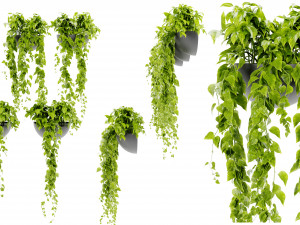 Collection Plant Vol 433 - Blender Model Model 3D