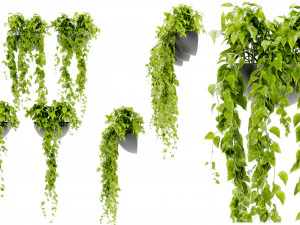 Cole&ccedil;&atilde;o Planta Vol 433 - Modelo Blender Modelo 3D