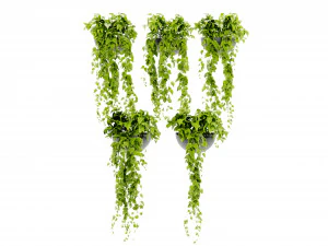 Collection Plant Vol 433 - Blender Model 3D Model