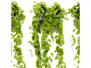 Collection Plant Vol 433 - Blender Model 3D Model