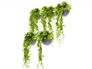 Collection Plant Vol 433 - Blender Model 3D Model