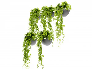 Collection Plant Vol 433 - Blender Model 3D Model