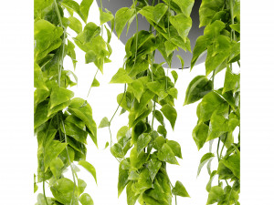 Collection Plant Vol 433 - Blender Model 3D Model