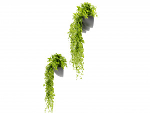 Collection Plant Vol 433 - Blender Model 3D Model