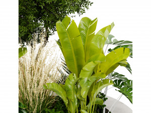 Collection Plant Vol 434 - Blender Model 3D Модель