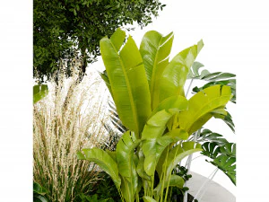 Collection Plant Vol 434 - Blender Model 3D Model