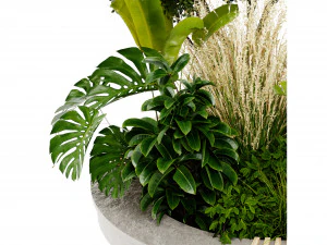 Collection Plant Vol 434 - Blender Model 3D Model