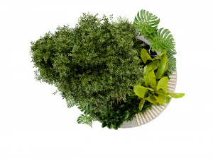 Collection Plant Vol 434 - Blender Model 3D Model